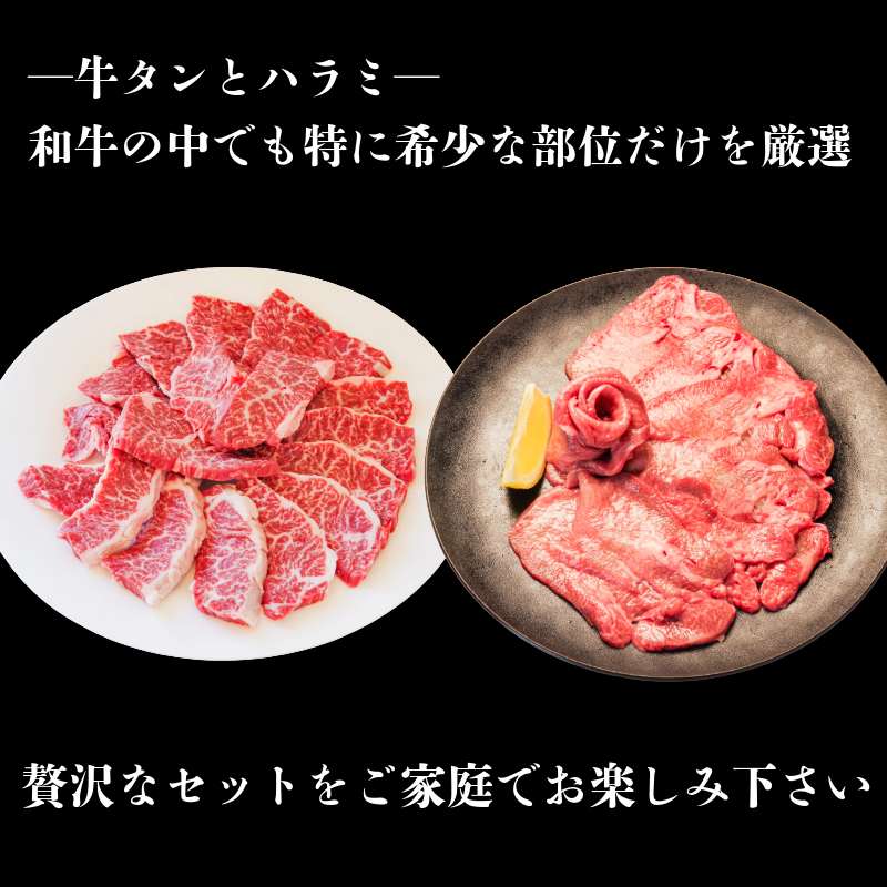 国産 牛タン ハラミ セット 計500g 塩味 牛肉 タン 薄切り ハラミ  希少部位 焼き肉 BBQ 焼肉 肉 お肉 高級 絶品 ふるさと納税 小松島市