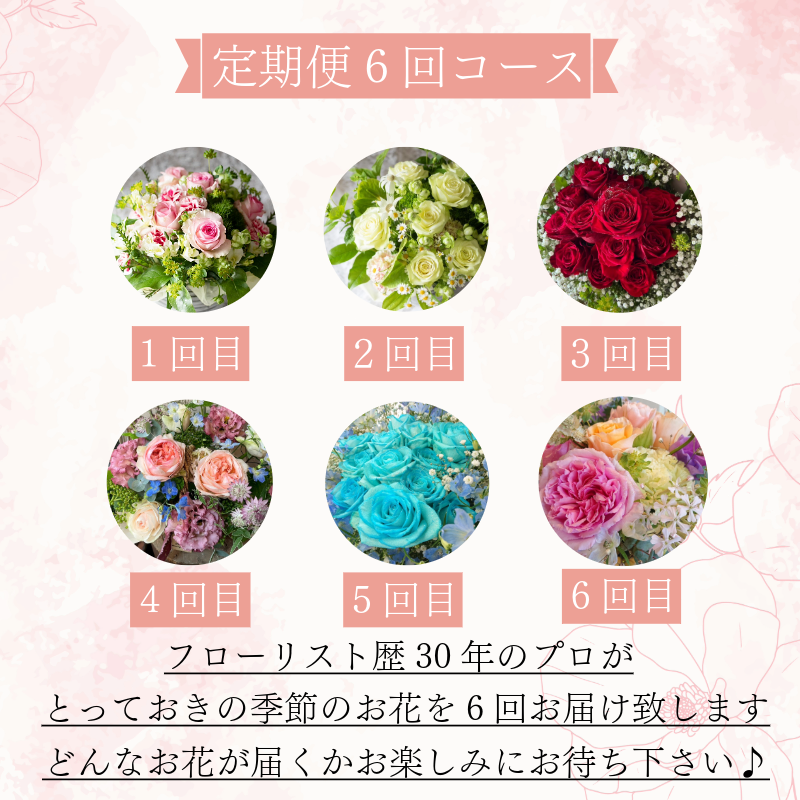 定期便 6回 ブーケ フラワーアレンジメント 手作りカード付き ギフト 花 クリスマス 母の日 父の日 敬老の日 ※北海道・東北・沖縄を含む離島への配送不可
