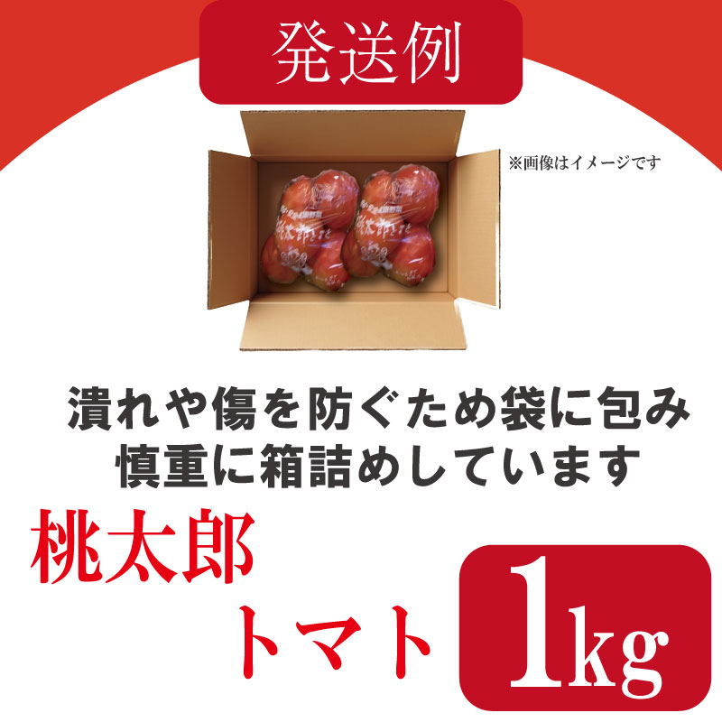 【訳あり】 【2026年4月発送】 トマト 1kg 桃太郎 先行予約  甘い 野菜 やさい 国産 産地直送 数量限定 旬 桃太郎トマト 生野菜 新鮮 ソース 調味料 ケチャップ サラダ 美容 新鮮 健康 お取り寄せ グルメ おすすめ 人気 徳島県 小松島市
