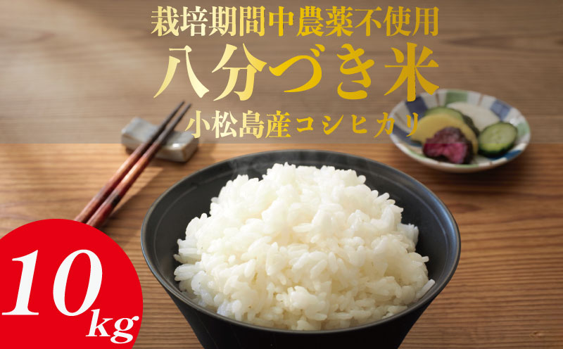 令和7年産 米 八分づき米 5kg 栽培期間中農薬不使用 米 玄米 お米 コメ こしひかり コシヒカリ ※ okome kome おむすび おにぎり 徳島県産 精米 徳島県 小松島市 