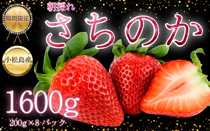 【2026年2月中旬順次発送】 さちのか いちご 1.6kg(200g×8) 苺 イチゴ ストロベリー strawberry フルーツ 果物 旬 数量限定 期間限定 産地直送 ichigo 小松島市
