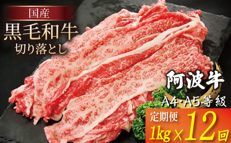 【定期便】 黒毛和牛 赤身 切り落とし 1kg 12回 A4ランク以上 国産 和牛 阿波牛 牛肉 ぎゅうにく 牛 うし ビーフ 肉 モモ バラA4 A5 しゃぶしゃぶ すき焼き 焼肉 BBQ アウトドア おかず ごはん 米 ご飯 おつまみ 惣菜 弁当 冷凍 小分け お取り寄せ グルメ プレゼント ギフト 贈答 送料無料 徳島県 小松島市