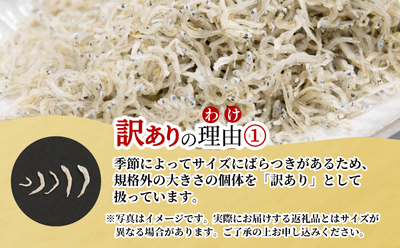 訳あり しらす 1kg 徳島県産 産地直送 冷蔵 ちりめん じゃこ 干し 魚介 乾物 グルメ ご飯のお供