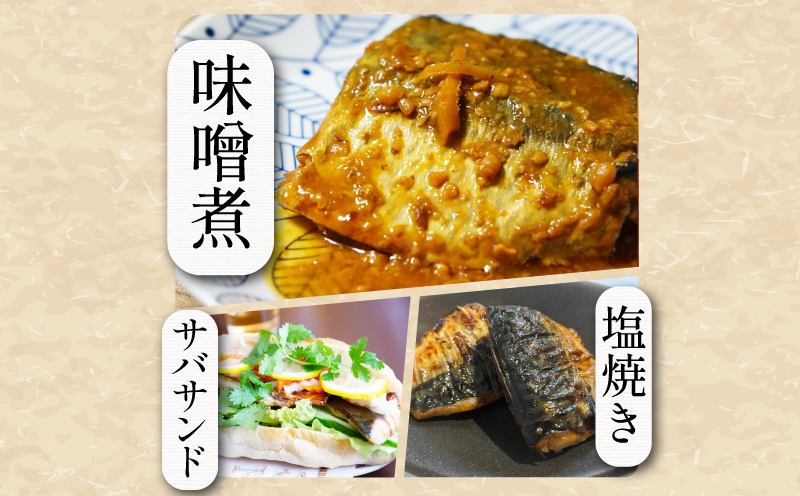 サバ 1.3kg 冷凍 すだち風味 徳島県 小松島市 さば 鯖 鮮魚 切り身 鮮度抜群 海鮮 海鮮食品 