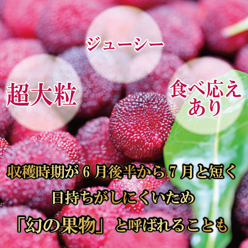 ãå
è¡äºçŽãããŸãã 400g 2026幎6æäžæ¬ããé æ¬¡çºé å°åã ãã㯠å£ç¯ ãã«ãŒã ã¬ã¢ ããªãŒ å±±æ¡ å¥åº· ãžã£ã æå®é
ãã〠ãèå ã¹ã ãŒãžãŒ å°æŸå³¶åž åœç£