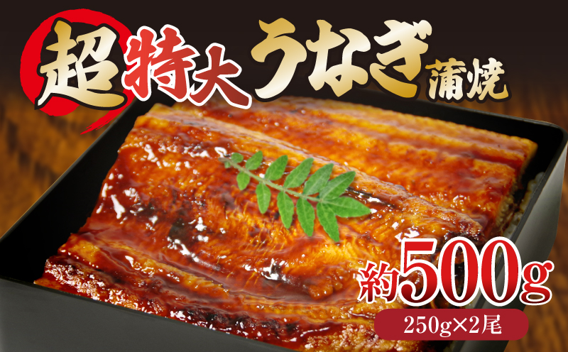 うなぎ 蒲焼き ( 特大 2尾 計500g 250g×2尾 ) ご飯にかける専用タレ付き！ 冷凍 | タレ 付き 夏 スタミナ | うなぎ うなぎ うなぎ うなぎ うなぎ うなぎ 鰻 鰻 鰻 鰻 鰻 