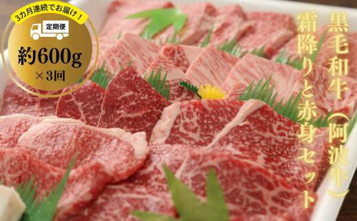 定期便 3回 牛肉 赤身 セット 600g × 3ヵ月 計1.8kg 国産 黒毛和牛 阿波牛 冷凍 お肉 焼肉 BBQ バーベキュー