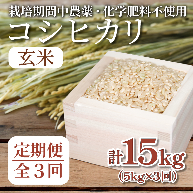 【定期便3回】 玄米 コシヒカリ 計15kg 5kg×3回 定期便 栽培期間中無農薬 ｜ 徳島県 ふるさと納税 新生活 四国 徳島 小松島 新生活 おいしい お米 米 こめ おこめ 国産 限定 ごはん ご飯 ゴハン ふるさと ランキング 人気 安全 安心 栄養 おすすめ 送料無料 国産 TKG 卵かけご飯 おにぎり おむすび いのち育む田んぼ米 生物多様性 【北海道･東北･沖縄･離島への配送不可】