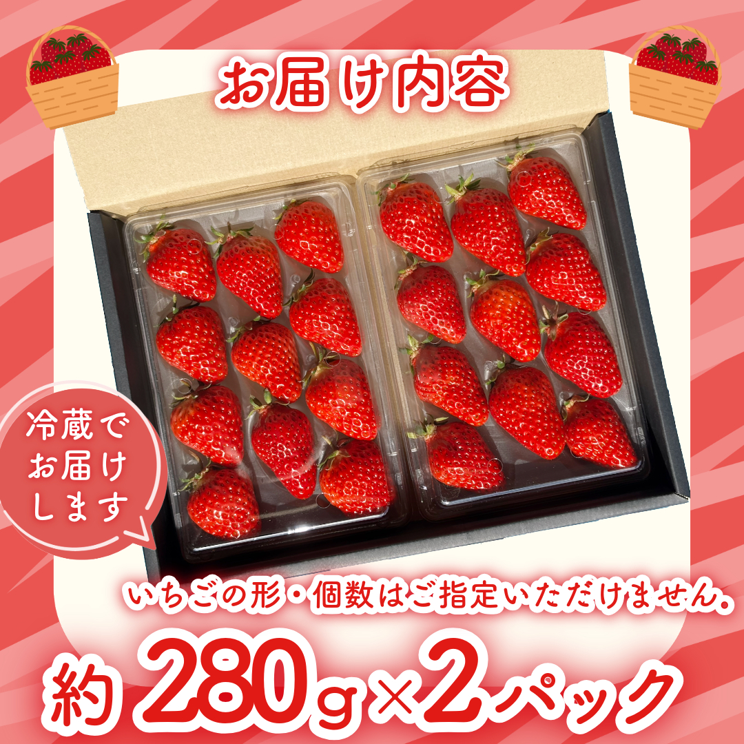 【訳あり】 いちご 紅ほっぺ 大粒 560g以上 ( 約280g × 2パック ) 2週間発送 苺 ストロベリー べにほっぺ 果物 フルーツ ベリー デザート スイーツ おやつ ケーキ ゼリー ジュース ジャム アイス シャーベット スムージー ヨーグルト クレープ タルト チョコ 大福 フルーツサンド ギフト プレゼント 朝摘み 贈答 お取り寄せ グルメ 冷蔵 送料無料 徳島 小松島 