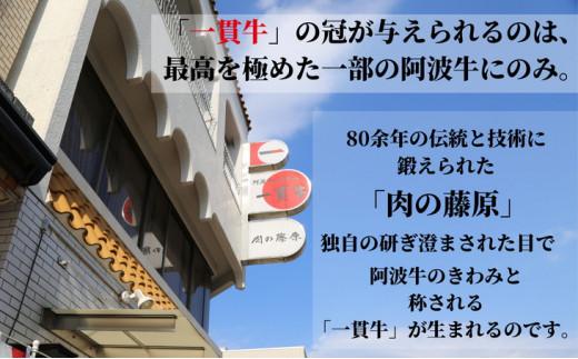 【2023年7月発送】（数量限定）国産　阿波牛のローストビーフ　500g　付属ソース付き｜ブロック 冷凍 黒毛和牛 ロース 徳島 四国 かたまり肉※着日指定不可