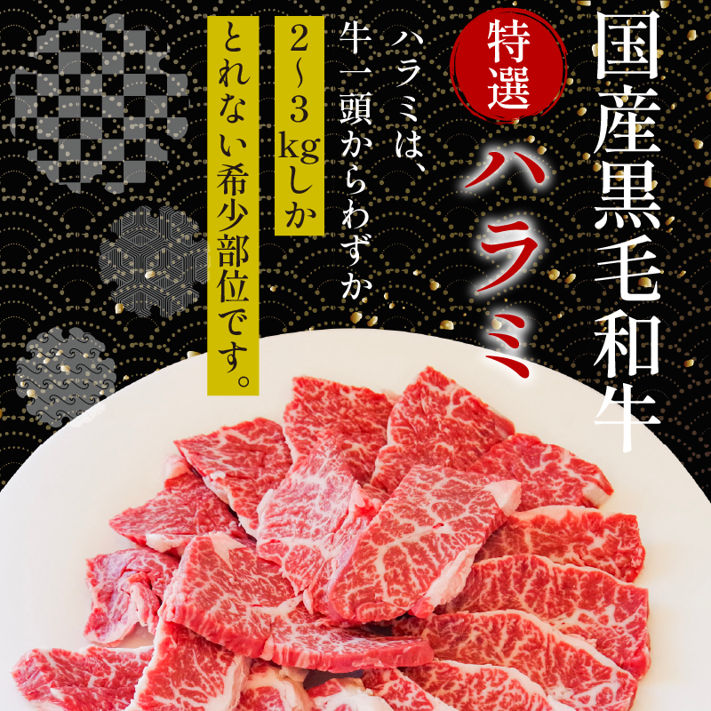  ハラミ 国産 冷凍 黒毛和牛 500g 特選 黒毛和牛 牛肉 焼肉 焼き肉 精肉 希少部位 BBQ はらみ 塩 味