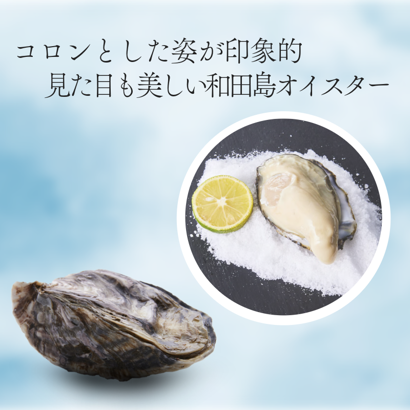 牡蠣 かき カキ 生ガキ 12個 計480g～600g 生食用 殻付きかき 数量限定 オイスター 貝柱 殻付牡蠣 生牡蠣 蒸し焼き 焼き牡蠣 カンカン焼き 加熱用牡蠣 海鮮 海の幸 魚介類 魚貝類 殻付き牡蠣 カキフライ 蒸しガキ キャンプ アウトドア 焼くだけ牡蠣 簡単調理 オイスターナイフ付き 和田島岬オイスター