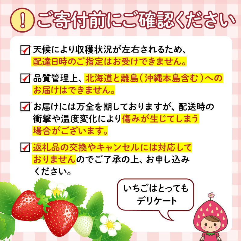 【先行予約】 【2025年1月より順次発送】いちご 紅ほっぺ 約1.2kg ( 約300g × 4パック ) 冷蔵 朝採れ 苺 春 旬 四国 徳島 小松島 期間限定 産地直送 フレッシュ イチゴ フルーツ 果物 国産 ふるさと人気 限定出荷 いちご 苺 イチゴ ブランド 大粒 苺 旬 産地 直送 フレッシュ イチゴ フルーツ 果物 国産 ベリー 人気苺 ふるさと納税苺 ふるさと苺