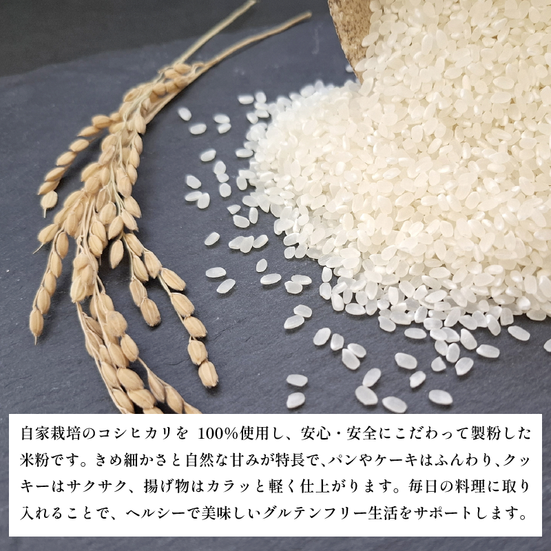 米粉 1kg（500g×2） 国産 溝木さんの米粉 小松島 グルテンフリー 米 パン お菓子 料理 パンケーキ 蒸しパン 健康 コシヒカリ 使用 小分け