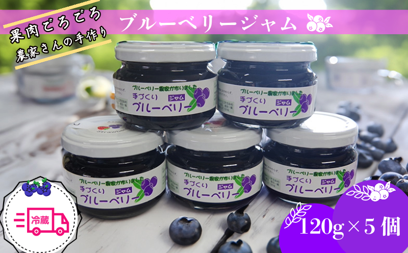 【2週間発送】 果肉ごろごろ ブルーベリージャム (120g×5個) ゲル化剤を不使用の手作りジャム！冷蔵便 四国 徳島 小松島 【送料無料】｜ゲル化剤 ( ペクチン ) 不使用 | ブルーベリー ジャム 果肉 ごろごろ 小分け 産地 直送 新鮮 夏 アイス シャーベット ソフトクリーム ジュース スムージー ヨーグルト 朝食 食パン パン 旬 ふるさと納税ブルーベリー ふるさとブルーベリー