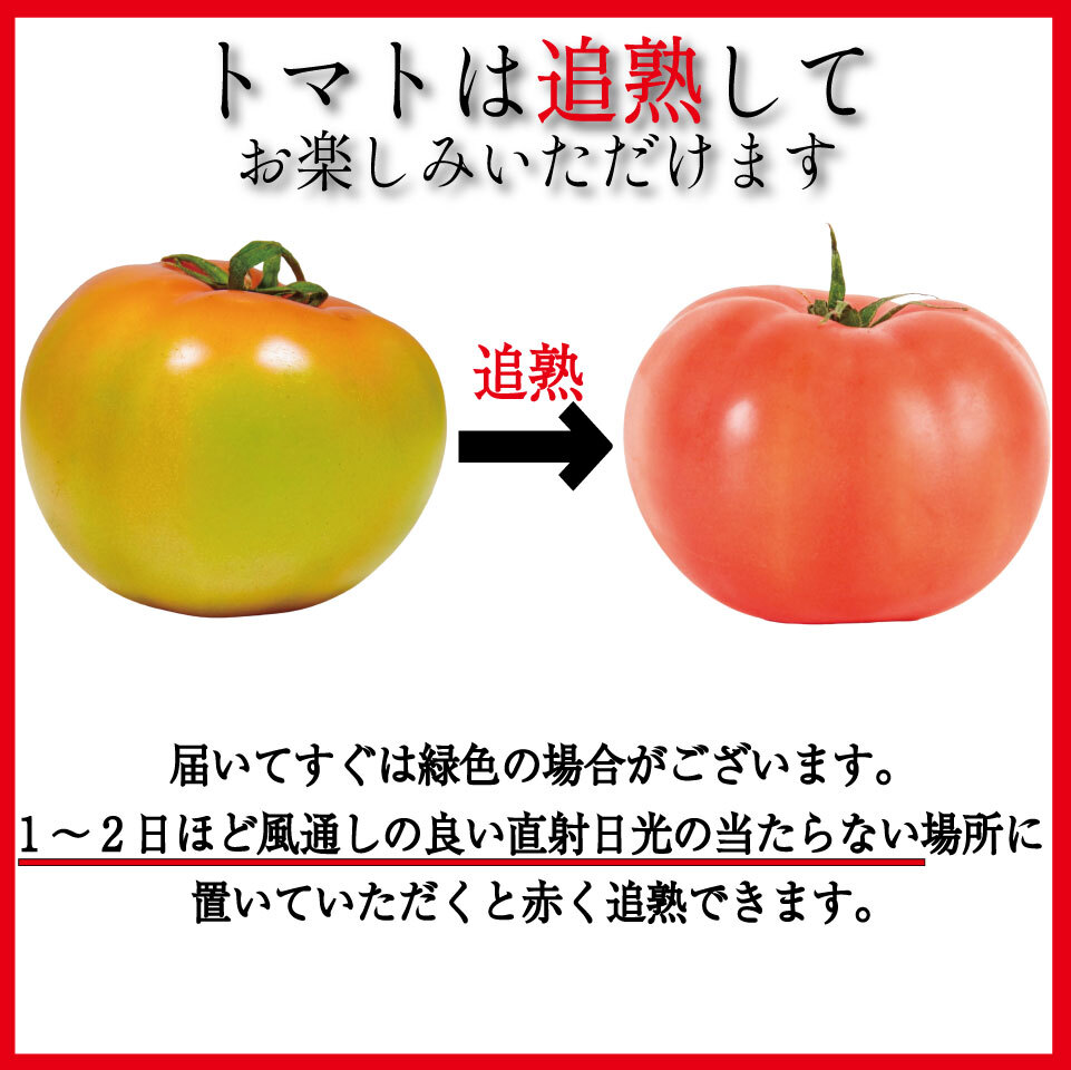 【訳あり】 【2026年4月発送】 トマト 1kg 桃太郎 先行予約  甘い 野菜 やさい 国産 産地直送 数量限定 旬 桃太郎トマト 生野菜 新鮮 ソース 調味料 ケチャップ サラダ 美容 新鮮 健康 お取り寄せ グルメ おすすめ 人気 徳島県 小松島市