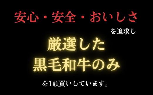 定期便 3回 牛肉 赤身 セット 600g × 3ヵ月 計1.8kg 国産 黒毛和牛 阿波牛 冷凍 お肉 焼肉 BBQ バーベキュー