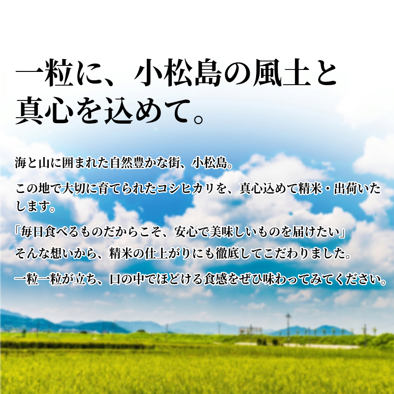 【令和7年産】 米 こしひかり 精米 5kg  お米 あいさい米 おこめ 白米 白飯 ご飯 ごはん 国産米 おにぎり おむすび お弁当 徳島 小松島 