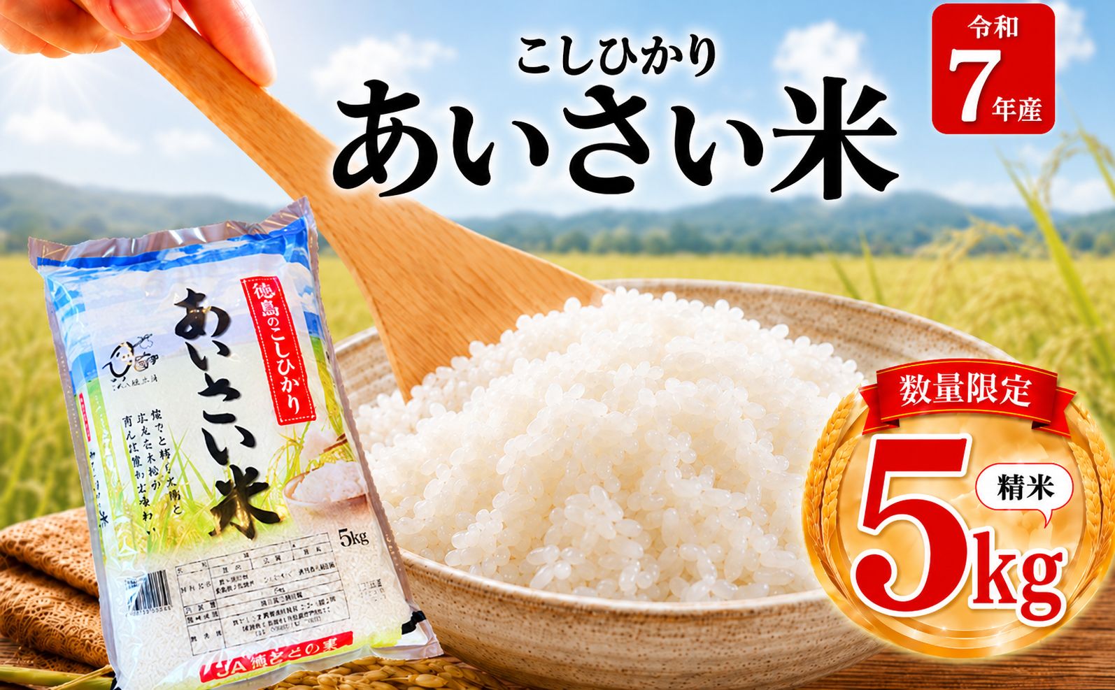【令和7年産】 米 こしひかり 精米 5kg  お米 あいさい米 おこめ 白米 白飯 ご飯 ごはん 国産米 おにぎり おむすび お弁当 徳島 小松島
