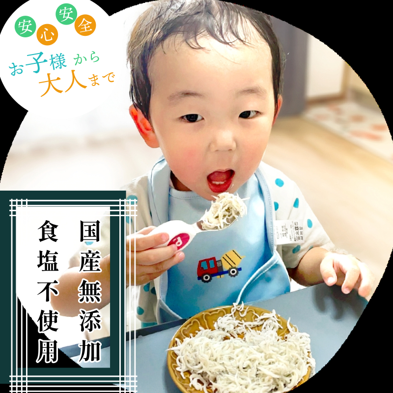 【ふるさと納税】 ちりめん 食塩無添加 天日干し 500g 冷蔵 安心 安全 ( 食塩 無添加 ) 四国 徳島 小松島 瀬戸内海 【テレビで紹介されました】【北海道･沖縄･東北･離島への配送不可】 ｜ 太平洋 瀬戸内海 結ぶ 紀伊水道 ちりめん ｜ ちりめん丼 魚介 シーフード 特産品 海産物 新鮮 惣菜  国産 鮮度 ふるさと納税 カルシウム 小分け