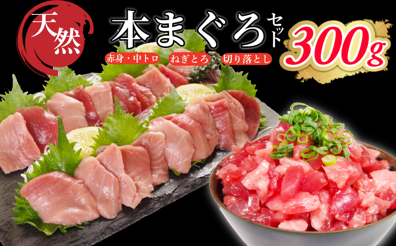天然本まぐろセット 300g(100g×3P） マグロ 本まぐろ 中とろ ネギトロ 赤身 天然 鮪 小分け 冷凍 刺身 漬け 晩酌 寿司 ユッケ マグロ丼 ねぎとろ 海鮮