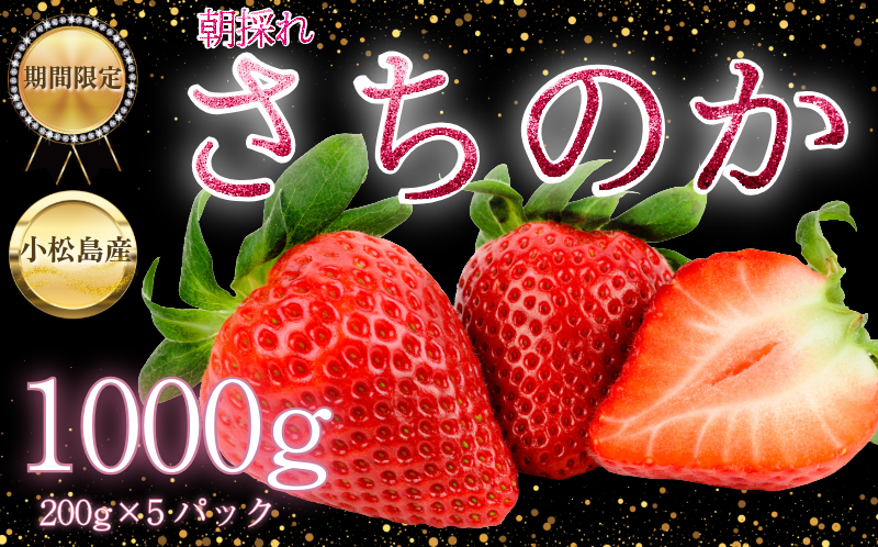 【2026年2月中旬順次発送】 さちのか いちご 1kg(200g×5) 苺 イチゴ ストロベリー strawberry フルーツ 果物 旬 数量限定 期間限定 産地直送 ichigo 小松島市