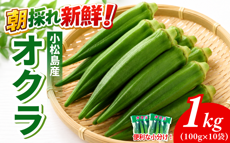 【6月下旬から発送】オクラ 1kg 新鮮 朝採れ 選べる 容量 小分け おくら 朝どれ 野菜 夏 夏野菜 旬 サラダ 冷蔵 農地直送 国産 小松島市 