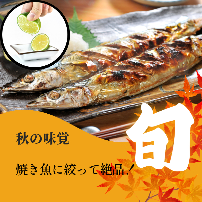 ゆこう 2kg 柑橘 徳島 みかん 柚子 すだち 酢 お酢 果汁 お酒 焼き魚 さっぱり オーガニック ふるさと納税 人気 