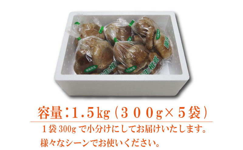 訳あり しいたけ 生 1.5kg 300g×5袋 徳島県産 国産 きのこ 茸 菌床椎茸 菌床栽培 菌糸 椎茸 生しいたけ 野菜 産地直送 ビタミンD 食物繊維 グアニル酸 低カロリー 健康 ダイエット 美容 出汁 鍋 煮物 味噌汁 うどん 徳島 小松島