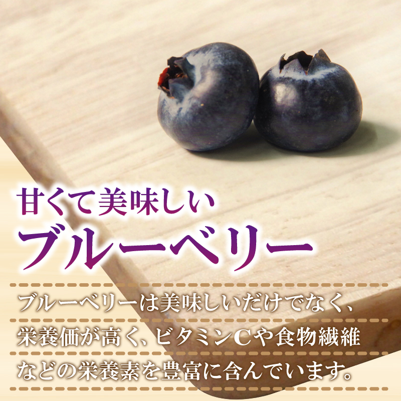 【訳あり】 冷凍 ブルーベリー 1kg 産地直送 新鮮 人気 果物 おすすめ フルーツ 四国 徳島 小松島 【送料無料】|  産地 直送 新鮮 夏 アイス シャーベット ソフトクリーム ジュース スムージー ヨーグルト 朝食 旬 ふるさと納税ブルーベリー ふるさとブルーベリー　