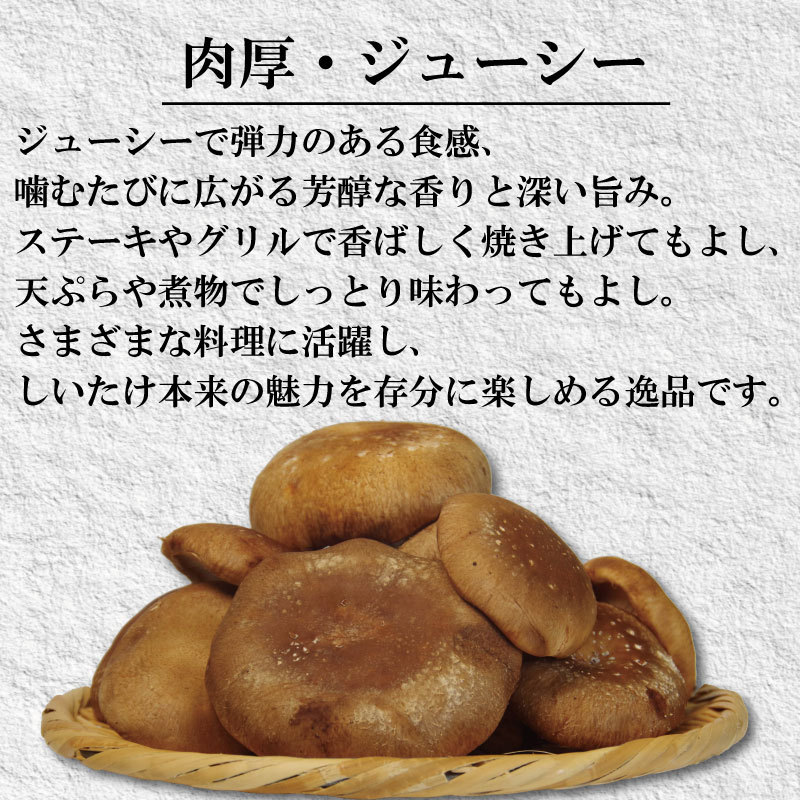訳あり しいたけ 生 1.5kg 300g×5袋 徳島県産 国産 きのこ 茸 菌床椎茸 菌床栽培 菌糸 椎茸 生しいたけ 野菜 産地直送 ビタミンD 食物繊維 グアニル酸 低カロリー 健康 ダイエット 美容 出汁 鍋 煮物 味噌汁 うどん 徳島 小松島