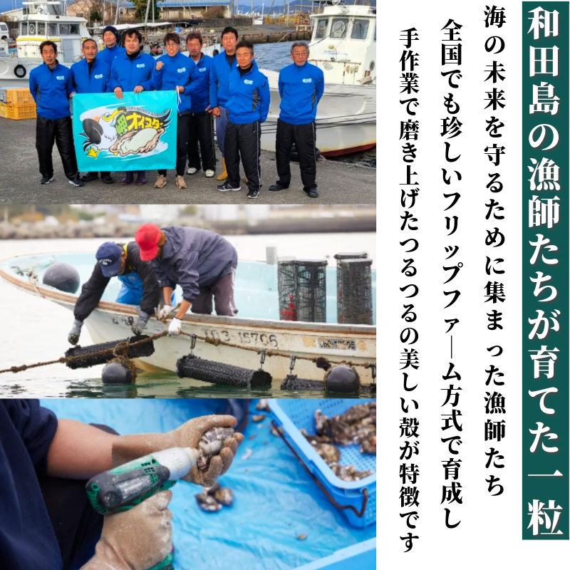 牡蠣 かき カキ 生ガキ 12個 計480g～600g 生食用 殻付きかき 数量限定 オイスター 貝柱 殻付牡蠣 生牡蠣 蒸し焼き 焼き牡蠣 カンカン焼き 加熱用牡蠣 海鮮 海の幸 魚介類 魚貝類 殻付き牡蠣 カキフライ 蒸しガキ キャンプ アウトドア 焼くだけ牡蠣 簡単調理 オイスターナイフ付き 和田島岬オイスター