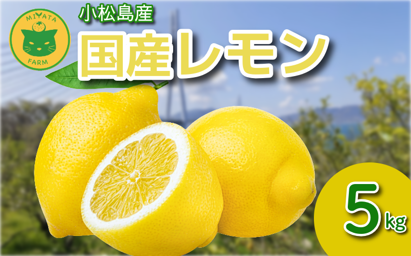 【2026年10月発送】レモン 5kg 秀品  国産 レモン 檸檬 れもん ワックス不使用 防腐剤不使用 柑橘 果汁 フルーツ 果実 徳島 小松島市