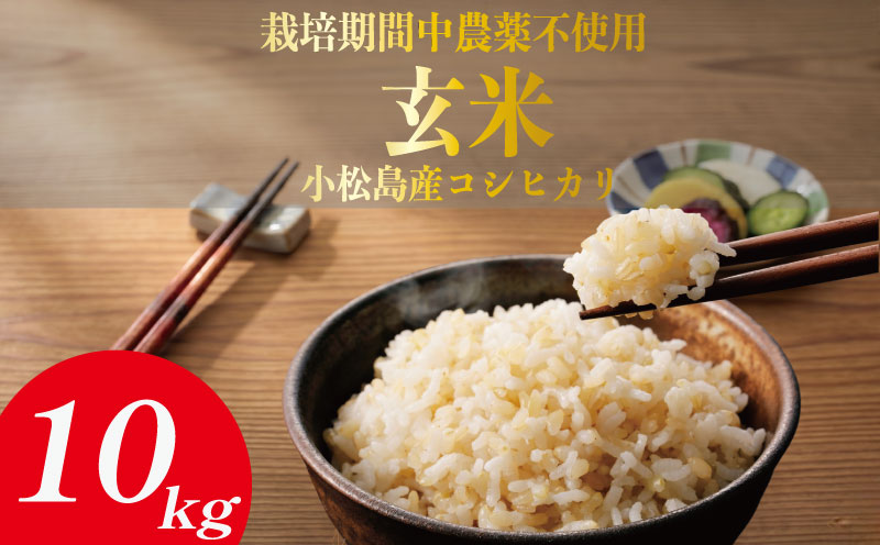 【令和7年産】玄米 10kg コシヒカリ 令和7年産 米 こめ ご飯 ごはん おにぎり 卵かけご飯 白米 栽培期間中農薬不使用 食品 備蓄 備蓄米 保存 防災 ギフト 贈答 プレゼント お取り寄せ グルメ 送料無料 徳島県