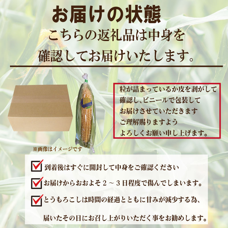 ãå
è¡äºçŽã ãšããããã çã ã¹ã€ãŒãã³ãŒã³ ã¿ãã 2kg ä»¥äž æ¥å¹ŽåºŠå
è¡äºçŽ ã2026幎5æé ~6æé åºè·ãææ¡ã é«ç³åºŠ å€éè æ°é®® 蟲家 çŽé