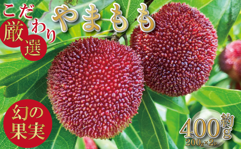 【先行予約】やまもも 400g 2026年6月下旬より順次発送 小分け パック 季節 フルーツ レア ベリー 山桃 健康 ジャム 果実酒 おやつ お菓子 スムージー 小松島市 国産