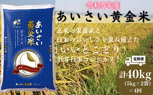 定期便 4回 令和5年産 あいさい黄金米 5kg 2袋 × 4ヵ月 計40kg 胚芽米