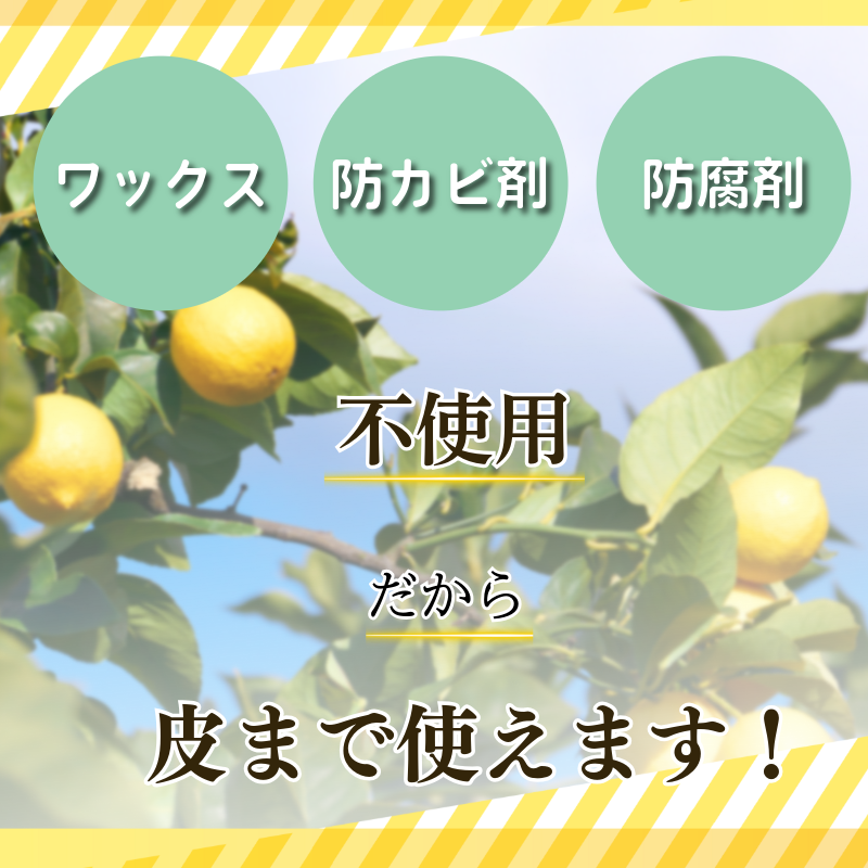 ã¬ã¢ã³ 5kg èš³ãã 2025幎10æé 次çºé åœç£ ã¬ã¢ã³ 檞檬 ããã ã¯ãã¯ã¹äžäœ¿çš é²è
å€äžäœ¿çš ææ© ææ± ãã«ãŒã æå® 埳島 å°æŸå³¶åž