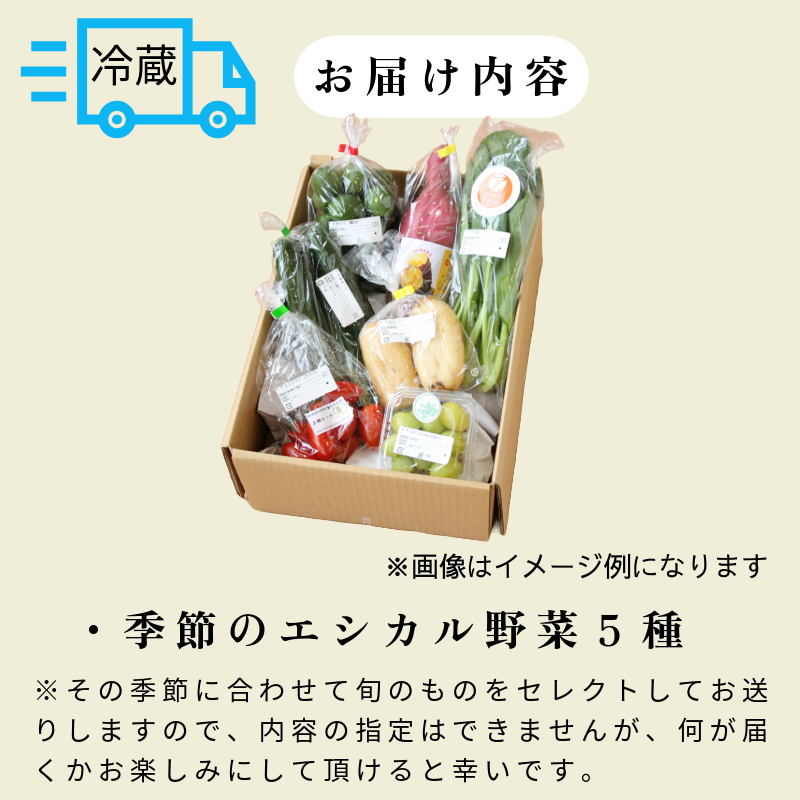 旬のエシカル野菜5種セット 野菜 おまかせ 新鮮 採れたて 産地直送 やさい とうもろこし トマト 減農薬 きのこ オクラ 玉ねぎ 美味しい 小松島市