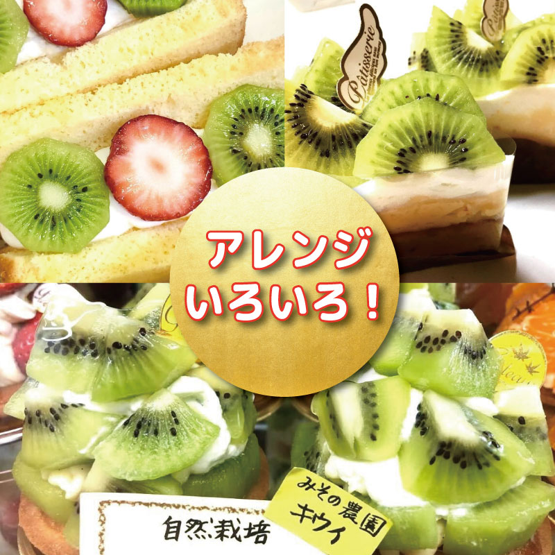 キウイ フルーツ 2.5kg キウイ 国産 フルーツ 果物 自然栽培 無農薬 ヨーグルト ジュース サラダ ビタミン 食物繊維 ダイエット 減量 美容 健康志向 お取り寄せ みその農園 徳島県 小松島市