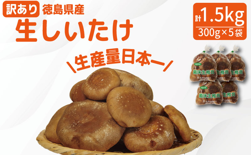 訳あり しいたけ 生 1.5kg 300g×5袋 徳島県産 国産 きのこ 茸 菌床椎茸 菌床栽培 菌糸 椎茸 生しいたけ 野菜 産地直送 ビタミンD 食物繊維 グアニル酸 低カロリー 健康 ダイエット 美容 出汁 鍋 煮物 味噌汁 うどん 徳島 小松島