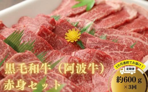 <2024年9月末受付終了>定期便 3回 牛肉 赤身 600g × 3ヶ月 阿波牛 黒毛和牛 国産 特選 冷凍 焼肉 焼き肉 BBQ バーベキュー お肉