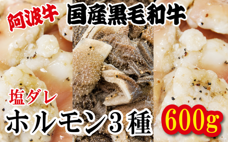 ホルモン 小腸 大腸 センマイ 3種セット 阿波牛 200g×3パック 計600g 冷凍 小分け 塩 タレ 塩ダレ 塩漬け 焼肉 国産 牛 肉 黒毛和牛 和牛 BBQ バーベキュー 脂 シマチョウ ホソ もつ 牛肉 焼き やきにく ビール 酒 米 ご飯 と一緒に おつまみ おすすめ 徳島県 小松島市