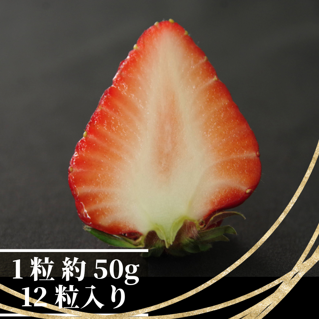 いちご 紅ほっぺ  贈答用 大粒 12粒入り 約600g (1粒 約50g × 12粒 ) 冷蔵 【先行予約】 【2025年1月より順次発送】 朝採れ 苺 春 旬 四国 徳島 小松島 期間限定 産地直送 フレッシュ イチゴ フルーツ 果物 国産 ふるさと人気 限定出荷 いちご 苺 イチゴ ブランド 大粒 苺 旬 産地 直送 フレッシュ イチゴ フルーツ 果物 国産 ベリー  人気苺 ふるさと納税苺