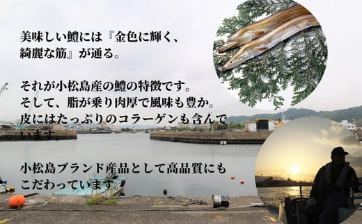 鱧 国産 ハモ 切り身 500g 冷凍 骨切り カット済 産地直送 魚介 海産物 魚 切り身 天然鱧 お取り寄せ グルメ 湯引き 蒲焼き 天ぷら しゃぶしゃぶ 鍋 お吸い物 酒蒸し ※北海道･東北･沖縄･離島 配送不可