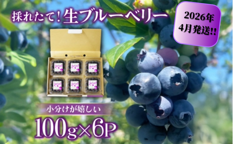 ブルーベリー 大粒 600g ( 100g × 6パック ) 先行予約 2026年4月より順次発送 フルーツ 果物 ハウス栽培 生ブルーベリー 採れたて 産地直送 新鮮 人気 くだもの アイス アイスクリーム シャーベット ジェラート ソフトクリーム ジュース スムージー ヨーグルト 朝食 旬おすすめ 小分け 産地 直送 夏 冷蔵 ふるさと納税ブルーベリー ふるさとブルーベリー 徳島県