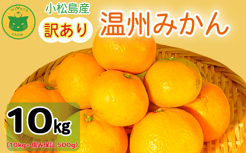 【2026年10月20日~発送】 訳あり みかん 温州みかん10kg（10kg+傷み保証500g） ミカン 蜜柑 甘い フルーツ 柑橘 ジュース 小松島市 オススメ 人気 ふるさと納税 10kg