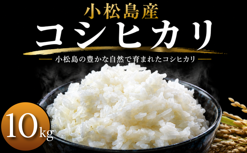 令和7年産 コシヒカリ 10kg 白米 米 数量 限定 こしひかり 10キロ 米10kg ごはん こめ コメ はくまい okome kome おむすび おにぎり 国産 飯 おこめ 小松島市