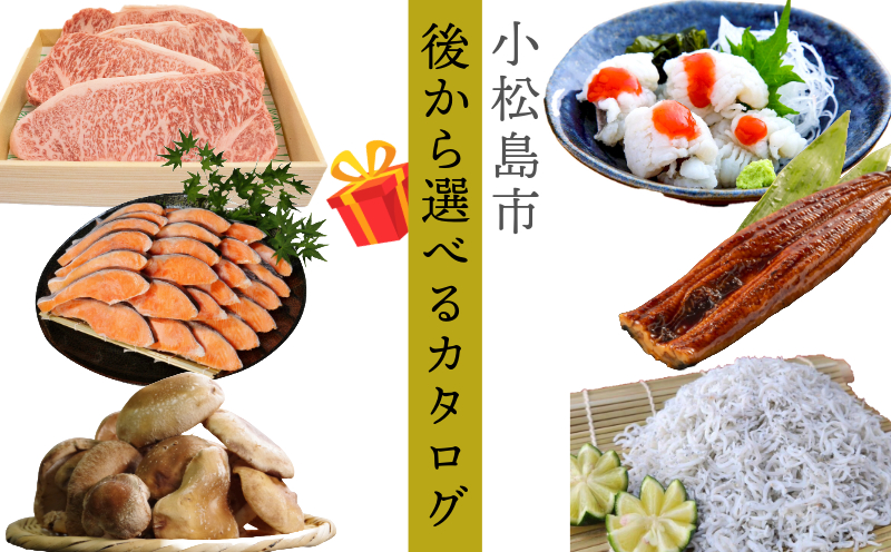 小松島市 あとから選べる カタログ 5万円分 鮮魚 肉 米 酒 定期便 スイーツ 日用品 選べる ギフト セレクト