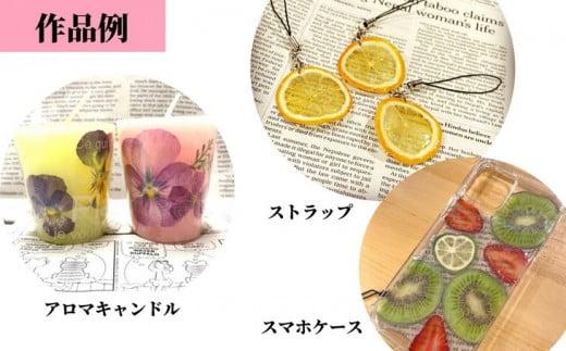 ハンドメイドパーツ 2種セット（押し花・押しフルーツ、押しベジタブル） 送料無料 ｜花　真空パック　セット　レジン　コラージュ　花材　素材　キット　DIY